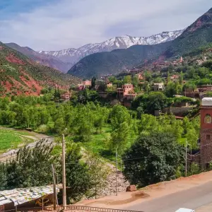 Explore Experience the Best of Marrakech in a 7 Day Private Adventure for 7 days with Discover Morocco Tours and discover unforgettable experiences - Photo 7
