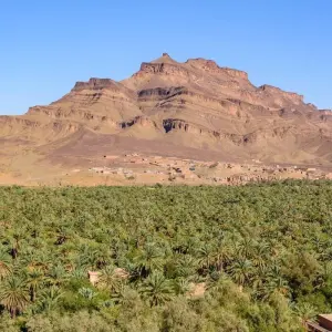 Explore 3 days 2 Nights Desert Tour from Fes via Desert to Marrakech for 3 days with Discover Morocco Tours and discover unforgettable experiences - Photo 5