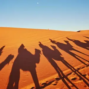 Explore The Best Holiday in Morocco / 12 Day tour from Casablanca for 12 days with Discover Morocco Tours and discover unforgettable experiences - Photo 7