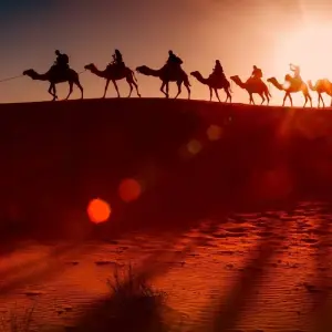 Explore 15-day Morocco History  Culture Tour departing from Casablanca for 15 days with Discover Morocco Tours and discover unforgettable experiences - Photo 7