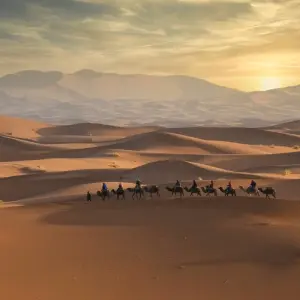 Explore 7 Night-8 day Casablanca round trip tour for 8 days with Discover Morocco Tours and discover unforgettable experiences - Photo 3