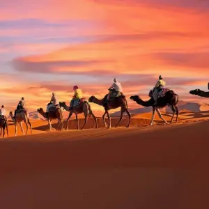Explore 9 days 8 nights Morocco History and Culture Tour from Casablanca for 9 days with Discover Morocco Tours and discover unforgettable experiences - Photo 7