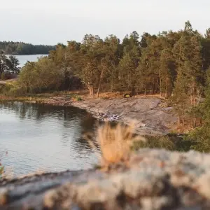 Explore 5-day Kayak & Wild Camp the Archipelago - self-guided for 5 days with Do the North and discover unforgettable experiences - Photo 3