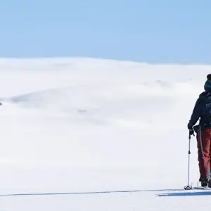 Explore Ski touring & winter fun in remote forests and fells of Sweden for 7 days with Do the North and discover unforgettable experiences - Photo 7