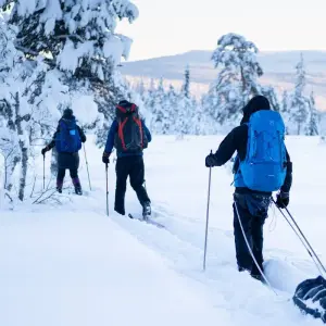 Explore Ski touring & winter fun in remote forests and fells of Sweden for 7 days with Do the North and discover unforgettable experiences - Photo 8