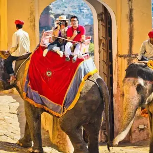 Explore From Delhi: Golden Triangle Private Tour for 4 days with Divyan Holidays and discover unforgettable experiences - Photo 2