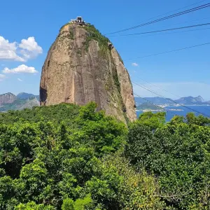 Explore Brazilian Nature and Wildlife Tour (incl. domestic flights) for 13 days with ETours Brazil DMC and discover unforgettable experiences - Photo 3