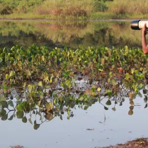Explore Northern Pantanal & Jaguar Safari for 5 days with ETours Brazil DMC and discover unforgettable experiences - Photo 3