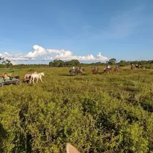 Explore On the tracks of the jaguar (incl. domestic flights) for 11 days with ETours Brazil DMC and discover unforgettable experiences - Photo 3