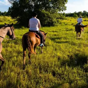 Explore On the tracks of the jaguar (incl. domestic flights) for 11 days with ETours Brazil DMC and discover unforgettable experiences - Photo 5