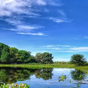 Explore Southern Pantanal & Bonito for 7 days with ETours Brazil DMC and discover unforgettable experiences - Photo 4