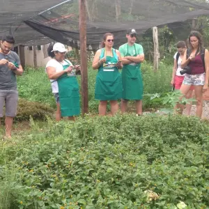 Explore Bonito & Pantanal Food Safari for 5 days with ETours Brazil DMC and discover unforgettable experiences - Photo 3
