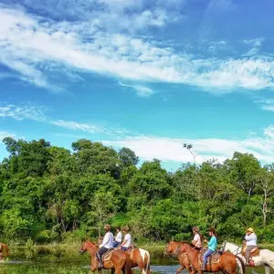 Explore On the tracks of the jaguar (incl. domestic flights) for 11 days with ETours Brazil DMC and discover unforgettable experiences - Photo 6