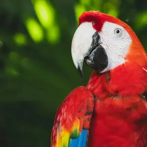 Explore Amazon Food Tour: Belém & Marajó Island for 6 days with ETours Brazil DMC and discover unforgettable experiences - Photo 4