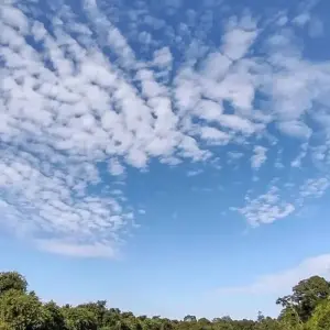 Explore On the tracks of the jaguar (incl. domestic flights) for 11 days with ETours Brazil DMC and discover unforgettable experiences - Photo 9
