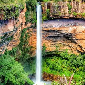 Explore Northern Pantanal Roundtrip for 8 days with ETours Brazil DMC and discover unforgettable experiences - Photo 11