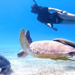 Explore Experience Tour (Nile Cruise & Hurghada Red Sea) 12 day for 12 days with Egypt Skyway Tours and discover unforgettable experiences - Photo 9