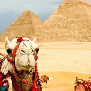 Explore Best Of Egypt 5 Days Tour Cairo and Luxor With Sightseeing for 5 days with Egypt Tour Pro  and discover unforgettable experiences - Photo 10