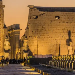 Explore "Cleopatra Honey Moon Tour" 8 Days from Cairo (Cairo, Aswan, Nile Cruise, Luxor, Camel Ride, Abu Simbel & More…..) for 8 days with Egyptology Travel and discover unforgettable experiences - Photo 4