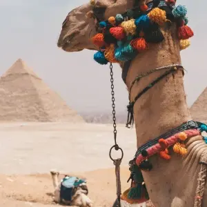 Explore "TUT Honey Moon Tour" 8 Days from Cairo (Cairo, Luxor Nile Cruise, Aswan, Abu Simbel, Hot Air Balloon & More....) for 8 days with Egyptology Travel and discover unforgettable experiences - Photo 11