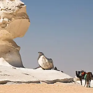Explore 3 Days White Desert for 3 days with Egypt Tours USA and discover unforgettable experiences - Photo 5
