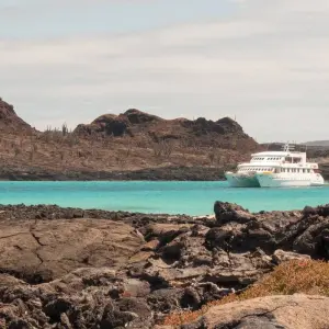 Explore Galapagos Uncovered for 10 days with Encounters Travel and discover unforgettable experiences - Photo 7