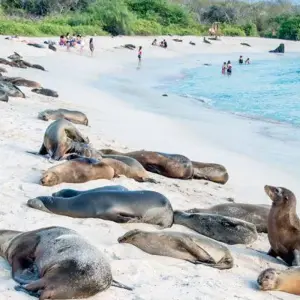 Explore Galapagos Uncovered for 10 days with Encounters Travel and discover unforgettable experiences - Photo 8