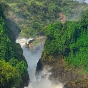 Explore Gorillas & Plains for 15 days with Encounters Travel and discover unforgettable experiences - Photo 4