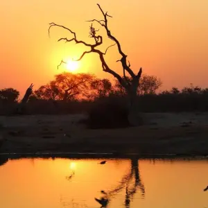 Explore Okavango & Chobe for 8 days with Encounters Travel and discover unforgettable experiences - Photo 2