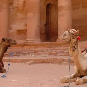 Explore Jordan Family Adventure for 8 days with Encounters Travel and discover unforgettable experiences - Photo 8