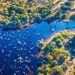 Explore Okavango & Chobe for 8 days with Encounters Travel and discover unforgettable experiences - Photo 5