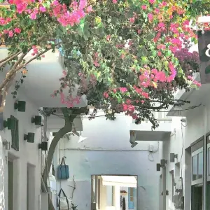 Explore Amazing Greece : Athens, Mykonos, Paros and Santorini (or Naxos) for 12 days with Eskapas and discover unforgettable experiences - Photo 6