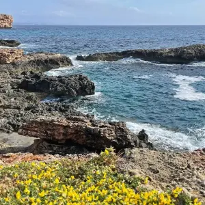 Explore Mallorca rally with Charm for 7 days with Eurobike and discover unforgettable experiences - Photo 3