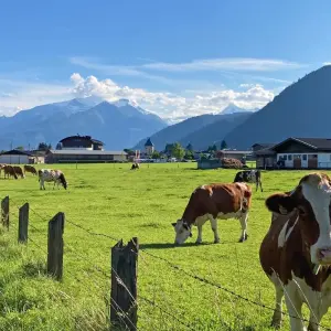 Explore Tauern Cycle Path for Families for 7 days with Eurobike and discover unforgettable experiences - Photo 2