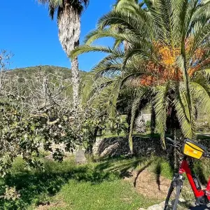Explore Mallorca rally with Charm for 7 days with Eurobike and discover unforgettable experiences - Photo 7