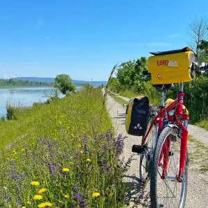 Explore Tauern Cycle Path for Families for 7 days with Eurobike and discover unforgettable experiences - Photo 5