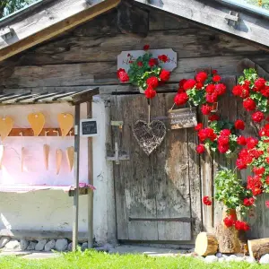 Explore Tauern Cycle Route Krimml - Passau for 8 days with Eurobike and discover unforgettable experiences - Photo 5