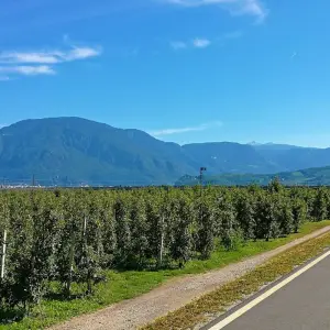 Explore From Merano to Lake Garda for 5 days with Eurobike and discover unforgettable experiences - Photo 5
