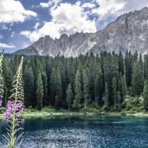 Explore 7 Days Northern Lakes and Dolomites Tour - from Milan for 7 days with Europeando Europa and discover unforgettable experiences - Photo 9