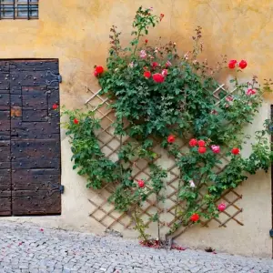 Explore Piedmont – based in one hotel for 7 days with Eurobike and discover unforgettable experiences - Photo 2