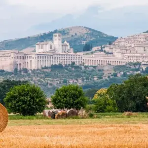 Explore 7 Days Umbria and Tuscany Tour - from Rome for 7 days with Europeando Europa and discover unforgettable experiences - Photo 10