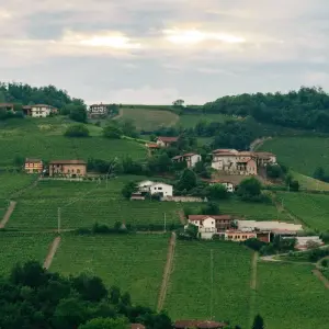 Explore Piedmont Private Epxerience: land of grapes, truffle and history for 5 days with Europeando Europa and discover unforgettable experiences - Photo 6