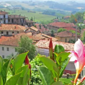 Explore Piedmont – based in one hotel for 7 days with Eurobike and discover unforgettable experiences - Photo 5