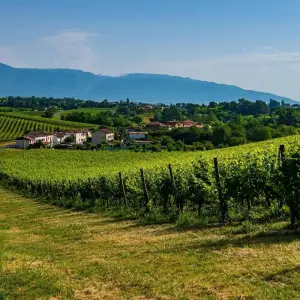 Explore Veneto: the Alps, Prosecco wine, amazing villas and Adriatic Sea for 5 days with Europeando Europa and discover unforgettable experiences - Photo 6