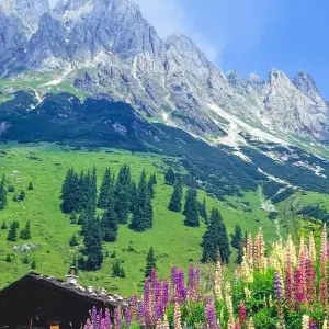 Explore Alpe-Adria-Cycle Path Salzburg-Villach 7/6 for 7 days with Eurobike and discover unforgettable experiences - Photo 3