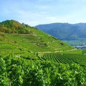 Explore Danube Cycle Path with Charm for 8 days with Eurobike and discover unforgettable experiences - Photo 3