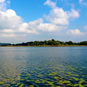 Explore Lake Chiemsee – based in one hotel 8/7 for 8 days with Eurobike and discover unforgettable experiences - Photo 8