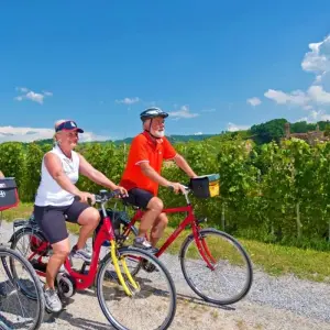 Explore Piedmont – based in one hotel for 7 days with Eurobike and discover unforgettable experiences - Photo 11