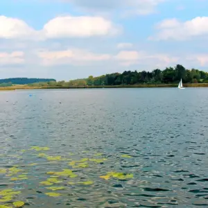 Explore Lake Chiemsee – based in one hotel 8/7 for 8 days with Eurobike and discover unforgettable experiences - Photo 9