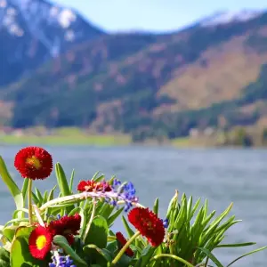 Explore Munich Lakes 7/6 for 7 days with Eurobike and discover unforgettable experiences - Photo 10